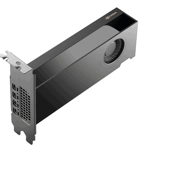 PNY - NVIDIA RTX PRO 2000 Blackwell Generation 16GB PB grafische kaart - Image 1