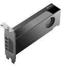 NVIDIA RTX PRO 2000 Blackwell Generation 16GB PB grafische kaart