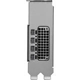 NVIDIA RTX PRO 2000 Blackwell Generation 16GB SB grafische kaart - Image 5